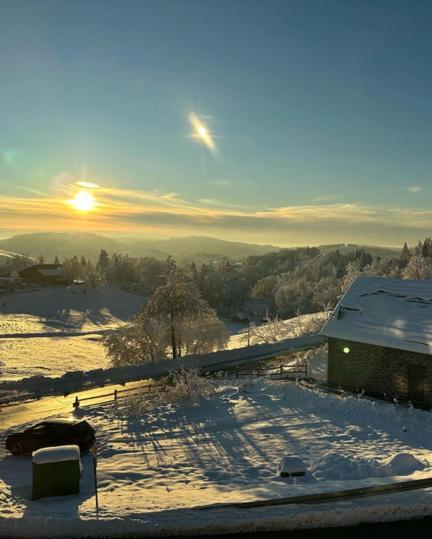 Lieblingsquartier Sankt Andreasberg Studio 9 Esterno foto